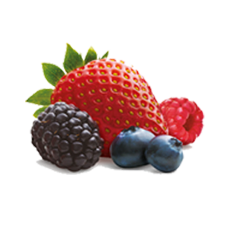 summer berries and cream